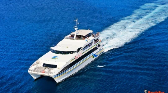 リーフクルーズ _10